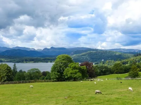 Thompson * トラウトベック